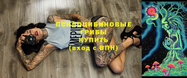 ПСИЛОЦИБИНОВЫЕ ГРИБЫ Арсеньев
