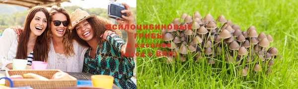гидропоника Инта