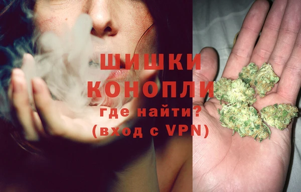 трава Аркадак