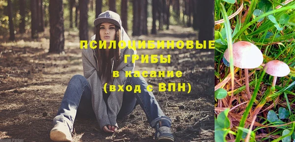 трава Аркадак