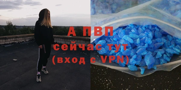 ГАЛЛЮЦИНОГЕННЫЕ ГРИБЫ Балабаново