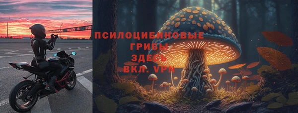 трава Аркадак
