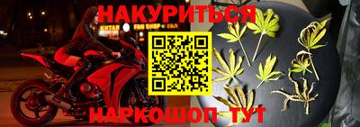 мдпв Гусев
