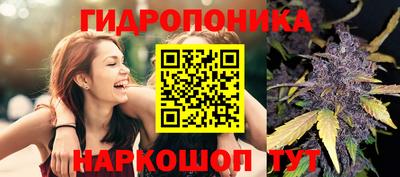 метамфетамин Гусь-Хрустальный