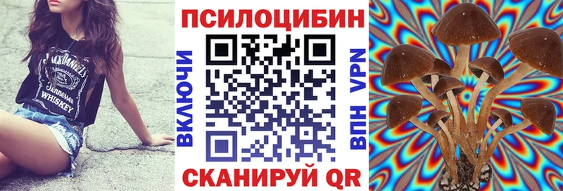 Галлюциногенные грибы Magic Shrooms Нижний Тагил