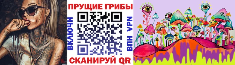 закладка  Нижний Тагил  Галлюциногенные грибы мицелий 