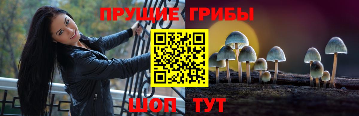 Псилоцибиновые грибы ЛСД  Вход с VPN  Галлюциногенные грибы Psilocybe  Нижний Тагил 